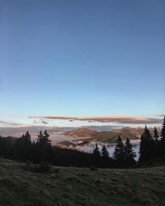 Plato'da Mola - Görsel 14