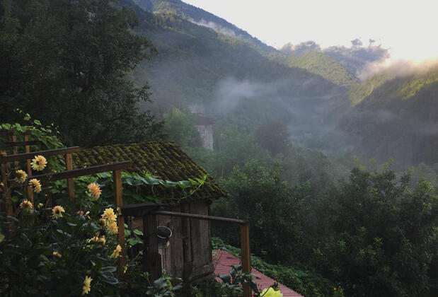 Plato'da Mola - Görsel 8