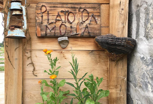 Plato'da Mola - Görsel 29