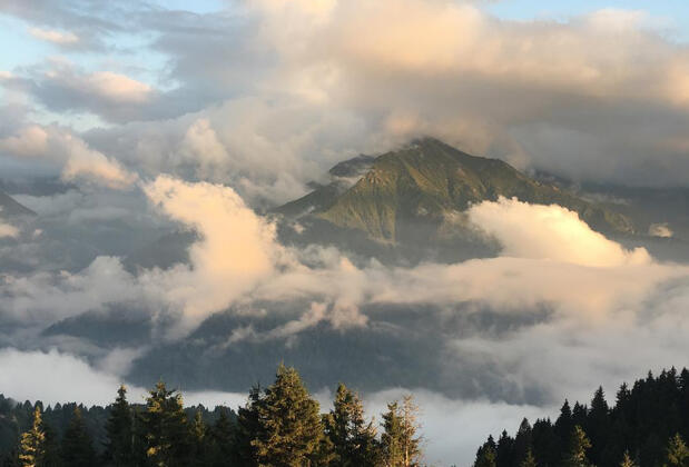 Plato'da Mola - Görsel 35