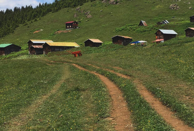 Plato'da Mola - Görsel 16