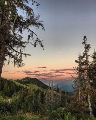 Plato'da Mola - Görsel 23