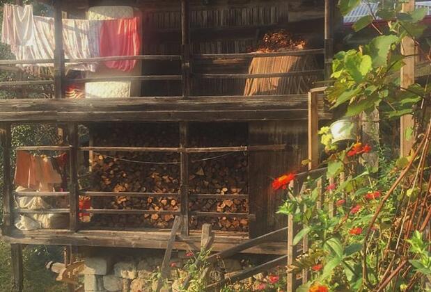 Plato'da Mola - Görsel 17