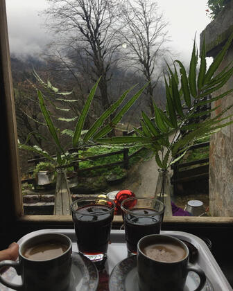 Plato'da Mola - Görsel 25