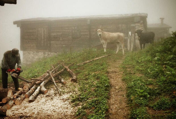 Plato'da Mola - Görsel 38