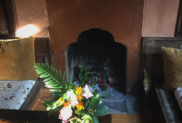 Plato'da Mola - Görsel 5