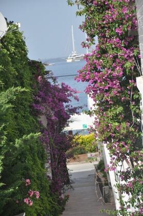 Costa Blu Türkbükü - Görsel 3