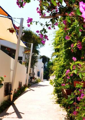 Costa Blu Türkbükü - Görsel 6