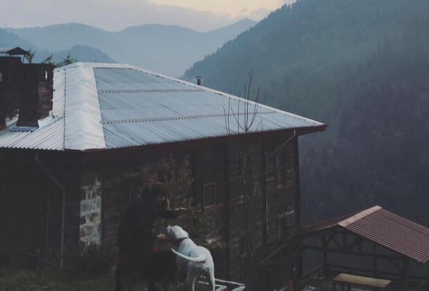 Plato'da Mola - Görsel 28