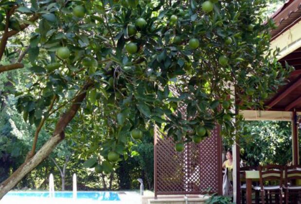 Defne Pansiyon Marmaris - Görsel 11