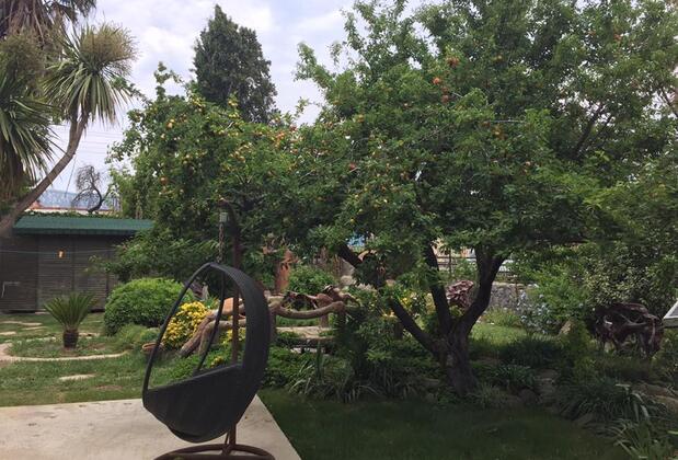 Villa Polikne Pansiyon & Restaurant & Beach Club - Görsel 13