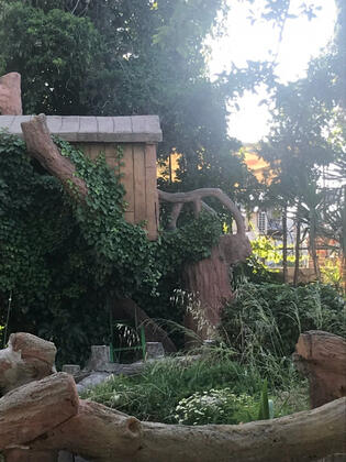 Villa Polikne Pansiyon & Restaurant & Beach Club - Görsel 16