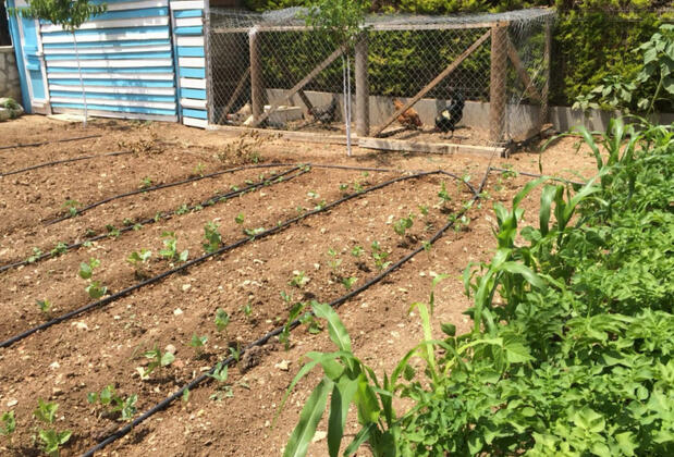 Otuz5 Butik Otel - Görsel 4