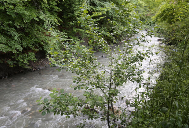 Abant Paşa Pansiyon - Görsel 15