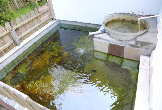 Abant Paşa Pansiyon - Görsel 30