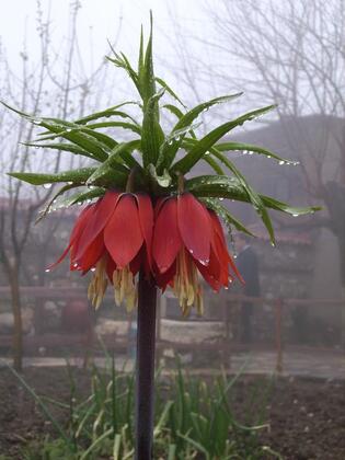 Köşk Hotel Elazığ - Görsel 15