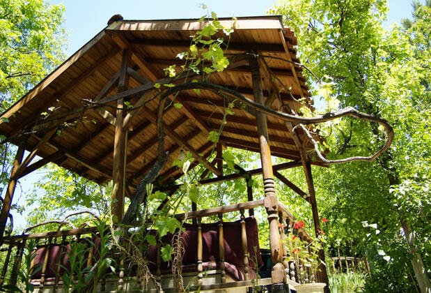 Deligözler Bağ Evi - Görsel 9