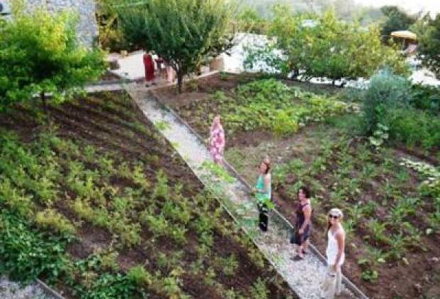 Faralya Hotel - Görsel 10