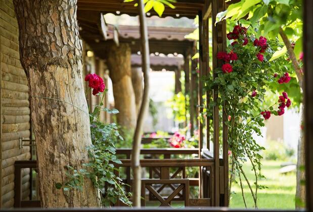 Flora Garden Beach - Görsel 16