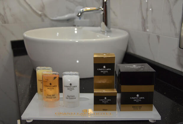 Grand Lark Hotel - Görsel 47