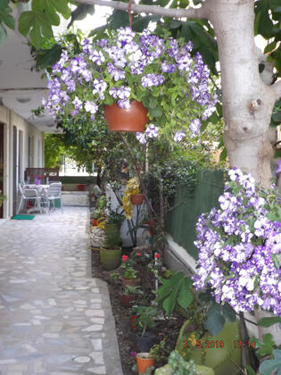 Batı Apart Pansiyon - Görsel 30