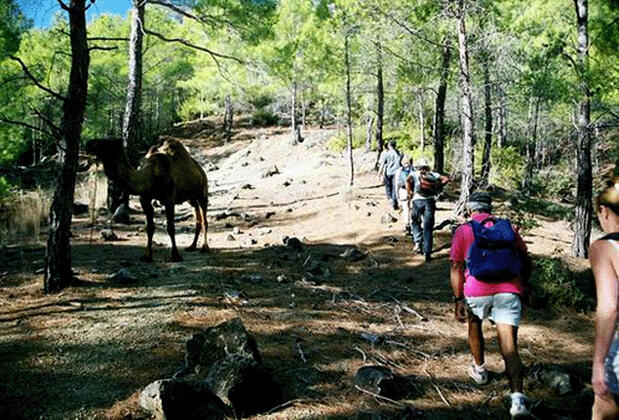 Gül Mountain Resident Hotel Kemer - Görsel 35