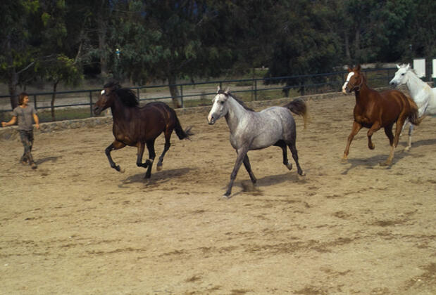 Gül Mountain Resident Hotel Kemer - Görsel 19