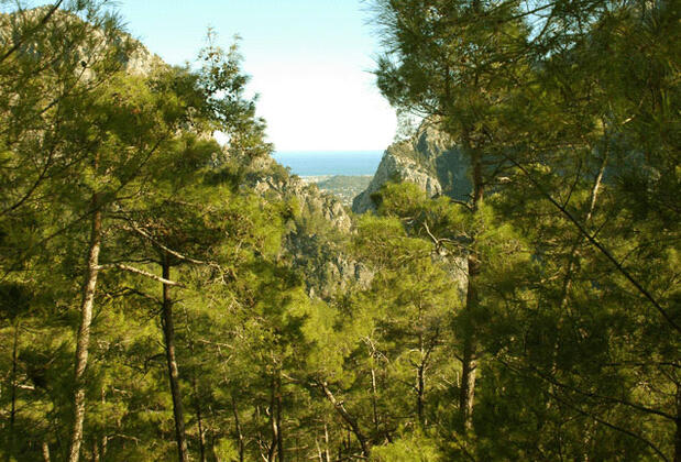 Gül Mountain Resident Hotel Kemer - Görsel 5