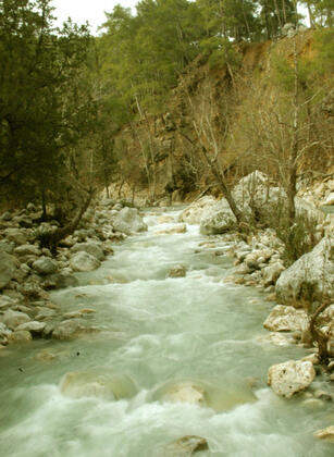 Gül Mountain Resident Hotel Kemer - Görsel 6