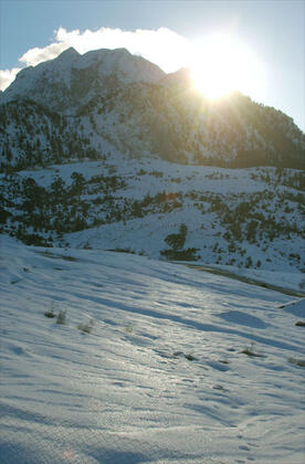 Gül Mountain Resident Hotel Kemer - Görsel 38