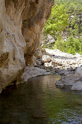 Gül Mountain Resident Hotel Kemer - Görsel 32