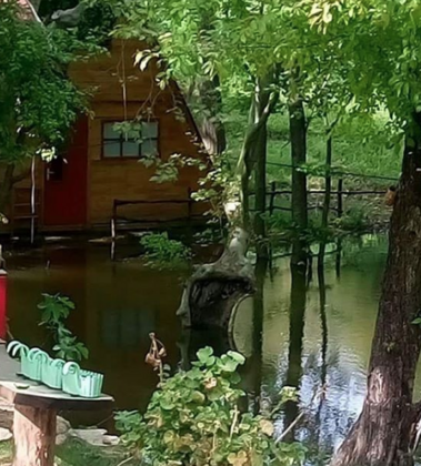 Demircioğlu Camping - Görsel 17