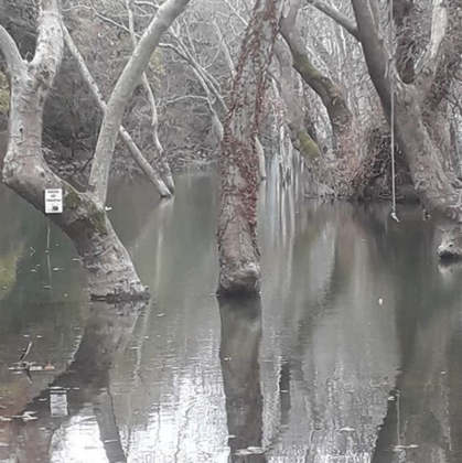 Demircioğlu Camping - Görsel 9