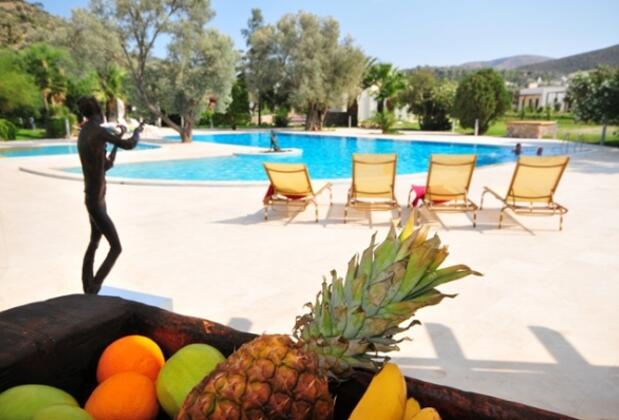 Greenlife Villas Bodrum - Görsel 9