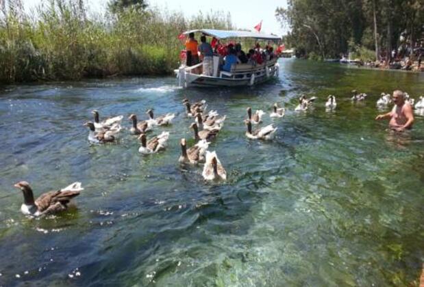 Tomsan Villaları - Görsel 3