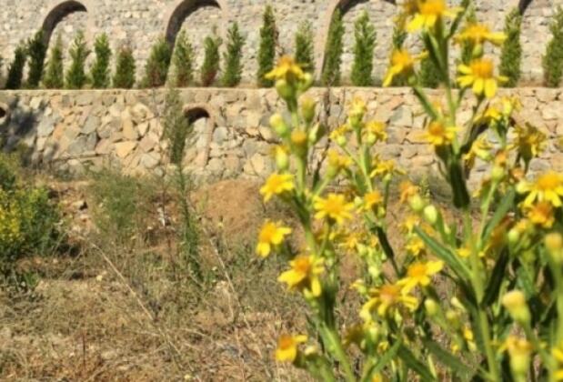 Hasköy Butik Otel - Görsel 7