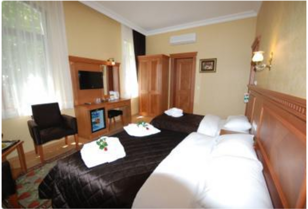 Hotel Adonis Palace İstanbul - Görsel 13