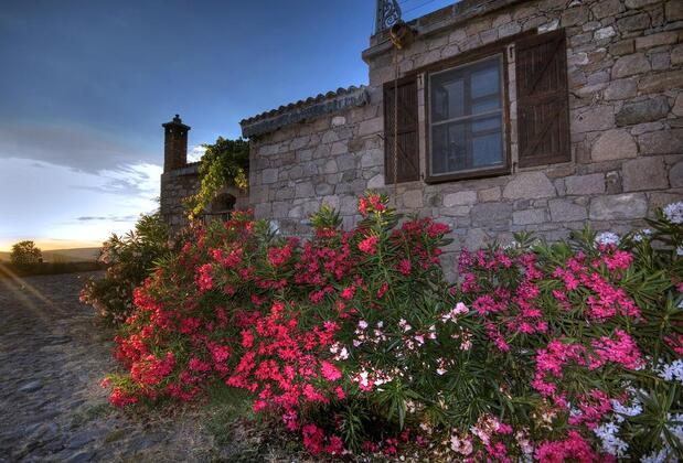 Biber Evi Butik Hotel - Görsel 35