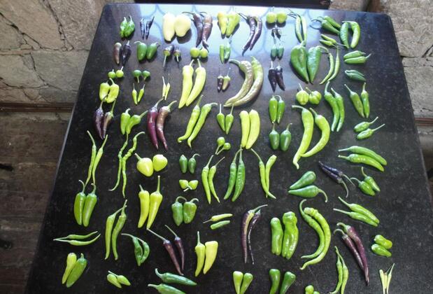 Biber Evi Butik Hotel - Görsel 25