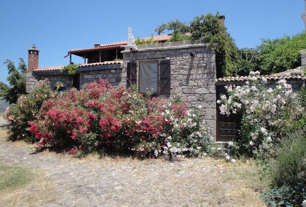 Biber Evi Butik Hotel - Görsel 33