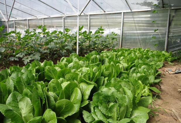 Aygün Pansiyon - Görsel 42