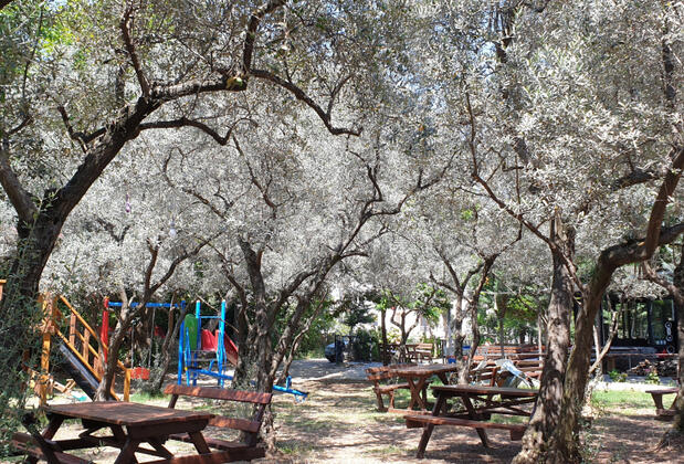 Mezere Konaklama & Restaurant - Görsel 8