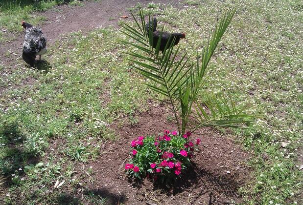 Engin Pansiyon - Görsel 6