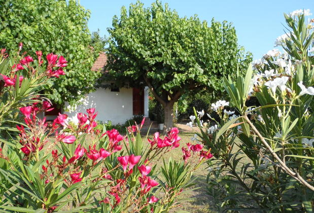 Engin Pansiyon - Görsel 5