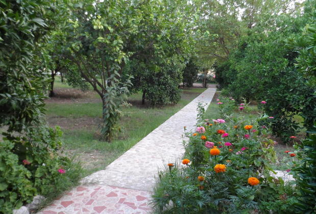 Engin Pansiyon - Görsel 37