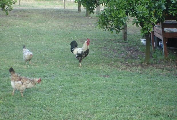 Engin Pansiyon - Görsel 21