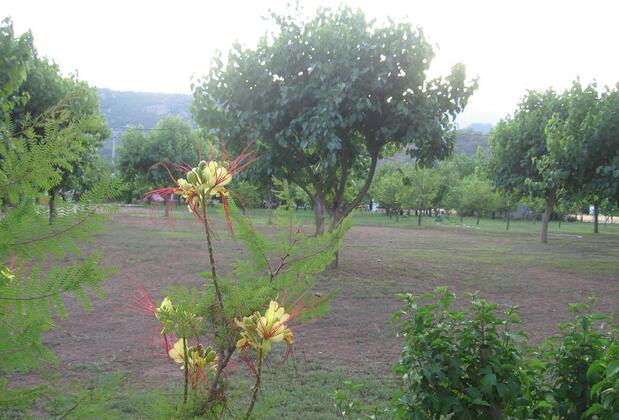 Engin Pansiyon - Görsel 8