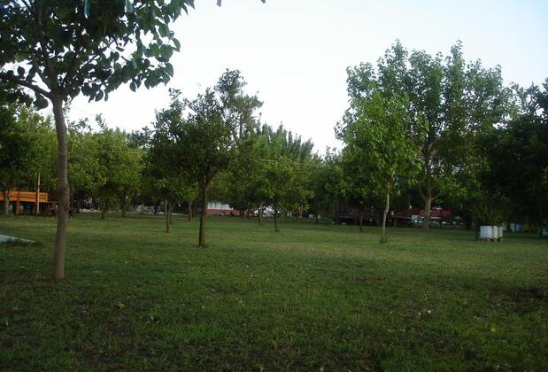 Engin Pansiyon - Görsel 14