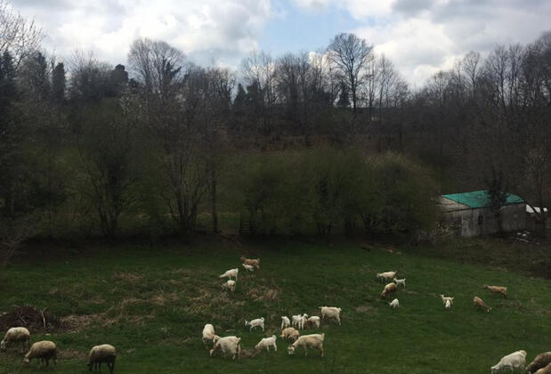 Klon Jawor Hotel - Görsel 11