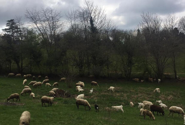 Klon Jawor Hotel - Görsel 22